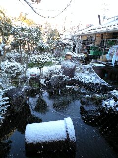雪景色